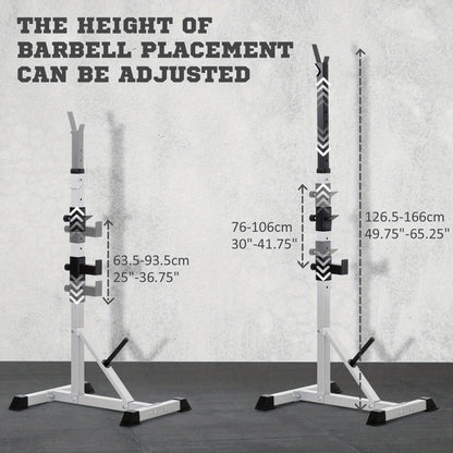 Soozier Multipurpose Bench Press / Squat Racks