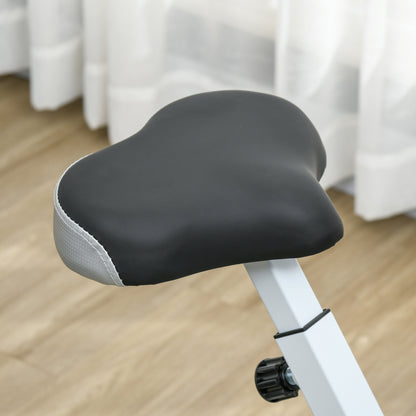 Soozier Magnetic Resistance Exercise Bike