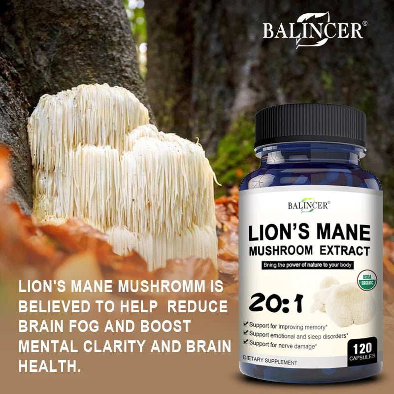Lion's Mane Extract  (Only Available in the United States)